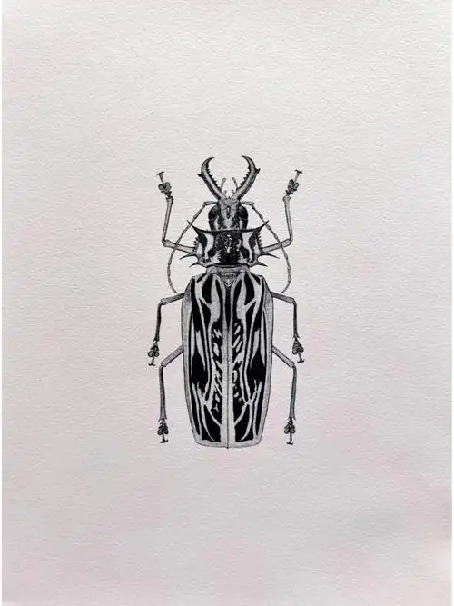 鹿角长牙天牛母