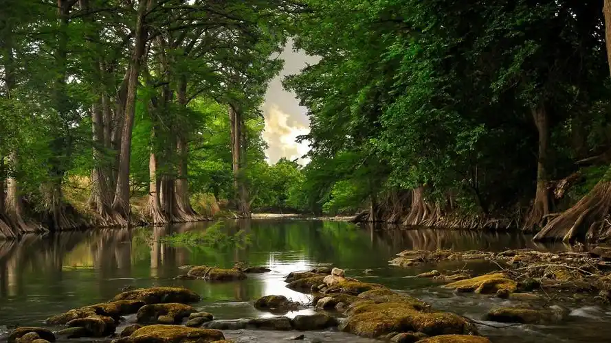 描述: 河森林-自然风光壁纸 当前壁纸尺寸: 1366 x 768