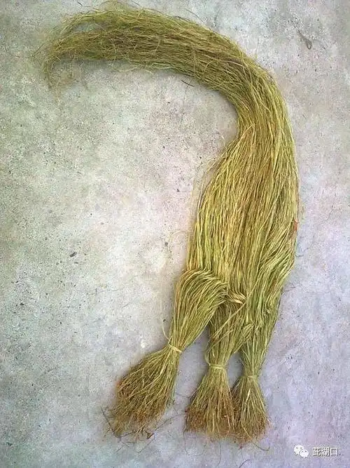 一代湖南人的记忆打麻