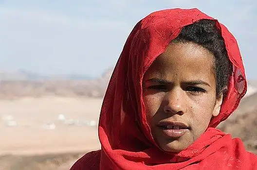肖像,埃及人,男孩,西奈,埃及