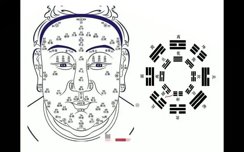 李光明面相2:地阁与先天坤宫的作用关系,不背口诀一样学好面相.