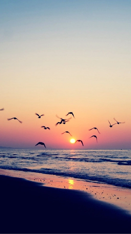 落幕风景h5背景