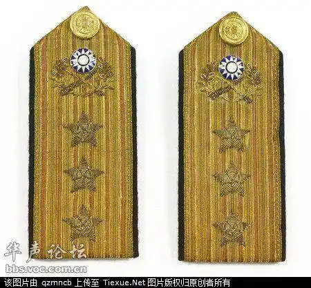 关于台湾军队的图片(包括军服,军衔,美女)