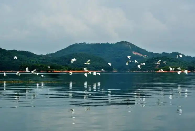 玉湖国家水利风景区