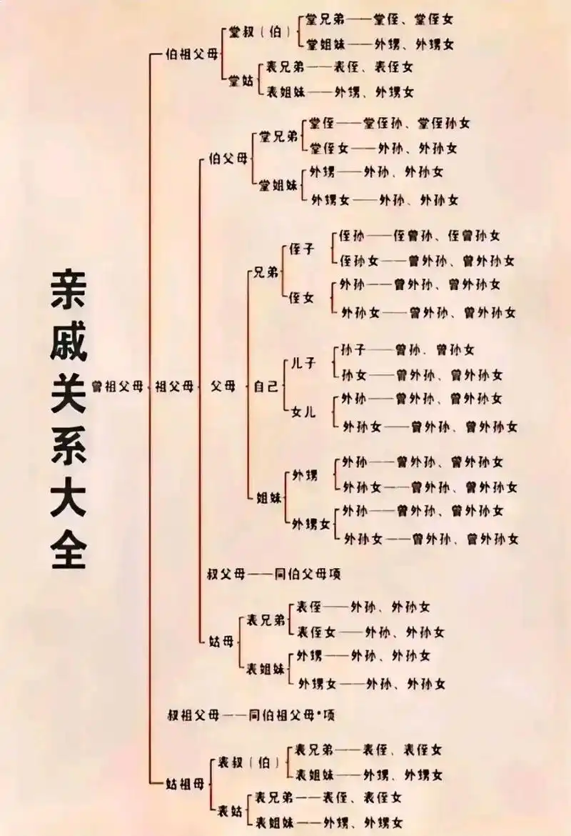 亲戚# 中国亲戚关系图谱