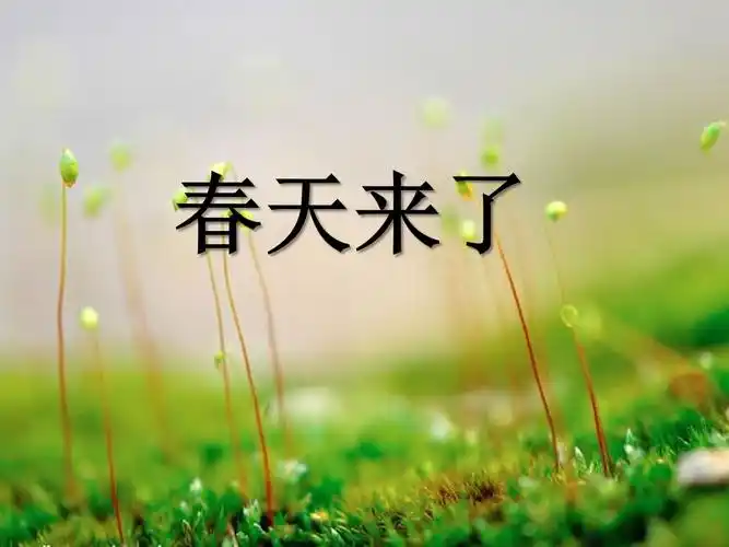 春天来了ppt