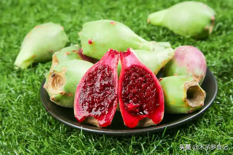 仙人掌的果实能吃吗(籽多个头小的仙人掌果,加了它做成饮料,口感酸甜