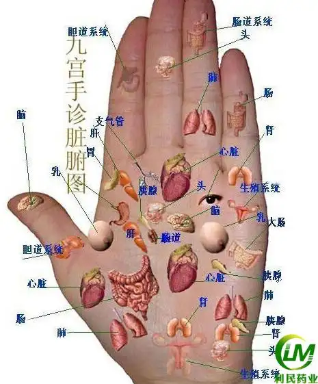 手心出汗肺脾虚,指肚泛红血脂高