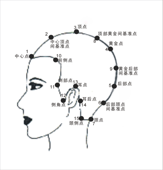 发型设计系列15个基准点及7条主分区线的位置与