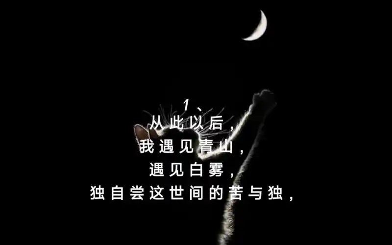 句句不提遗憾,但满眼都是遗憾!