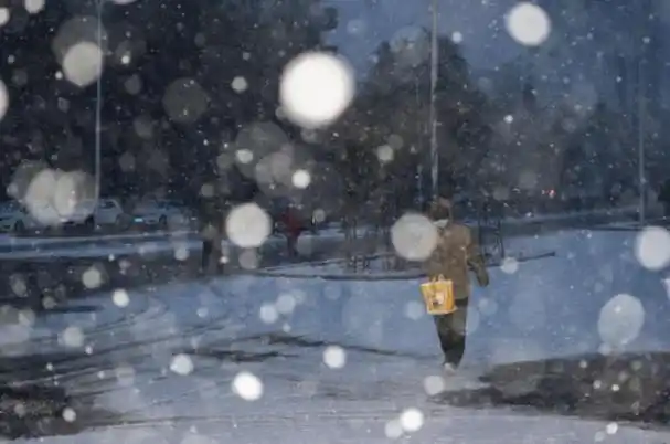 11月6日,在哈尔滨市香坊区,行人在雪中行走.图/新华社