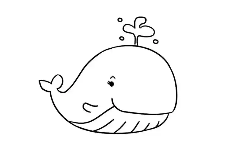 鲸鱼怎么画,鲸鱼简笔画