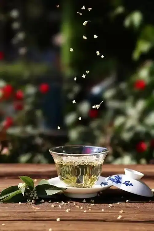 【一点资讯】赏读|安然若素,岁月静好 www.yidianzixun.com