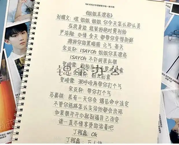 时代少年团字帖奶酪体女生鲸落体歌词本语录成人簪花小楷正楷楷书