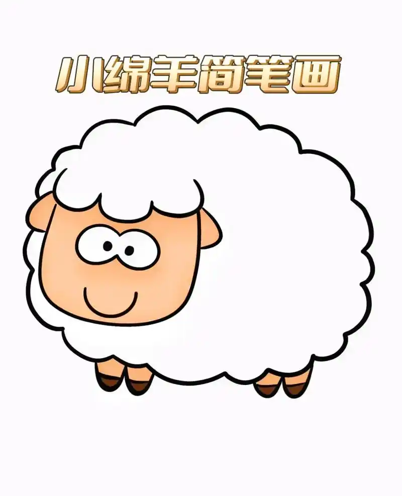 可爱小动物简笔画 .#创作灵感 用c就能画小绵羊简笔画    - 抖音
