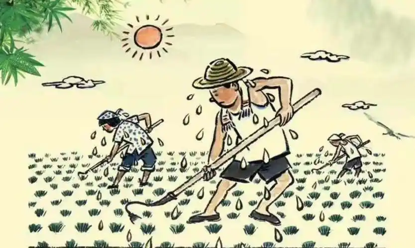 悯农 【唐】李绅 锄禾日当午,汗滴禾下土. 谁知盘中餐,粒粒皆辛苦.