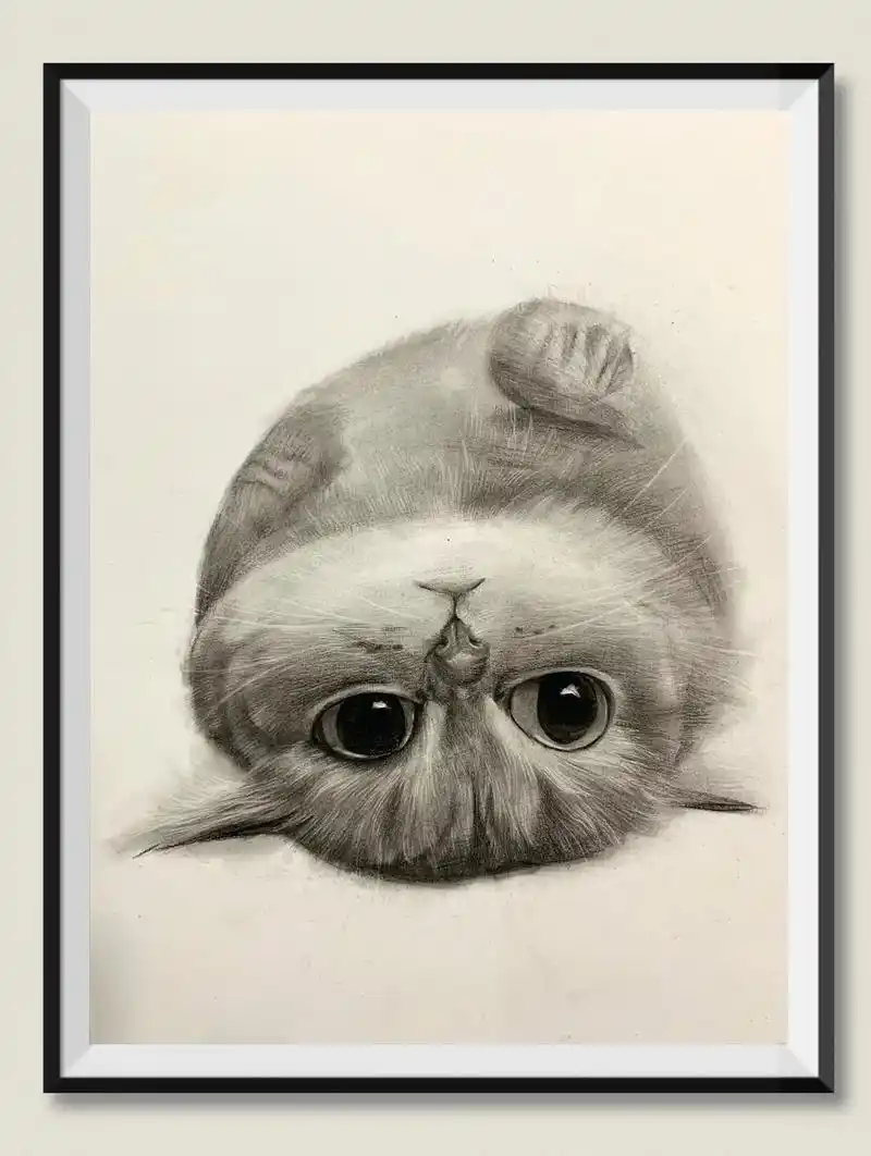 素描|调皮的猫咪保姆级绘画教程.绘画工具:炭笔,擦笔,擦刀, - 抖音