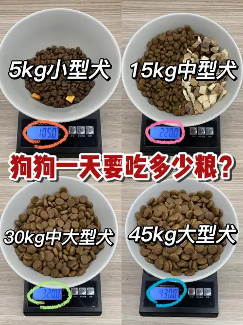 新手养狗60狗狗一天要吃多少狗粮附食量表