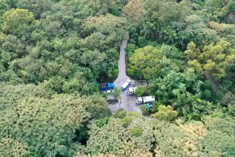 私建华侨城燕晗山郊野公园新建一停车场每天都有车辆进出