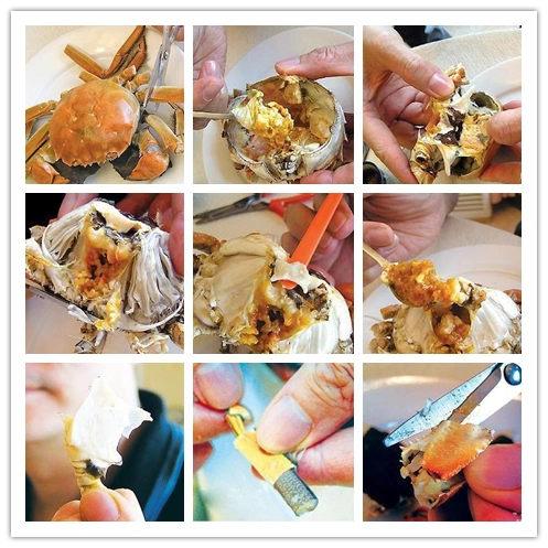 作个吃蟹行家 大闸蟹正确吃法解析