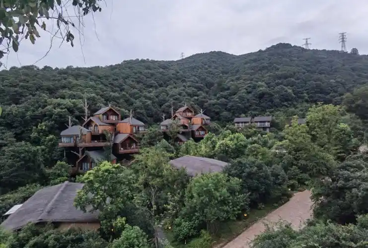 开元,这里小了很多一个人带孩子也会比较方便我们订的是酒店不是树屋