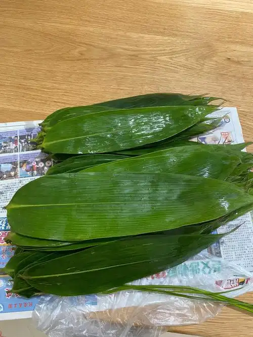新鲜粽叶