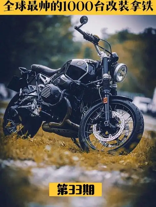全球1000台最帅最酷改装宝马拿铁33