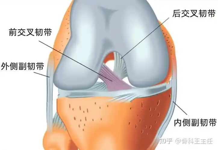 膝盖扭了一下,韧带撕裂分几级,怎么知道严重了?