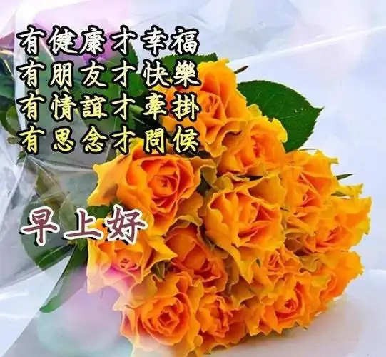 鲜花带字清晨漂亮表情图片早上好动图早安问候语带问候的早安图片大全