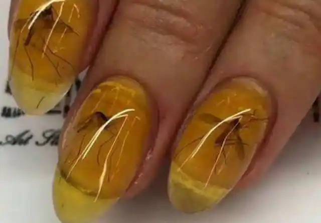 小伙报复蚊子经常咬他,直接抓来做成琥珀,蚊子:这是人干的事吗