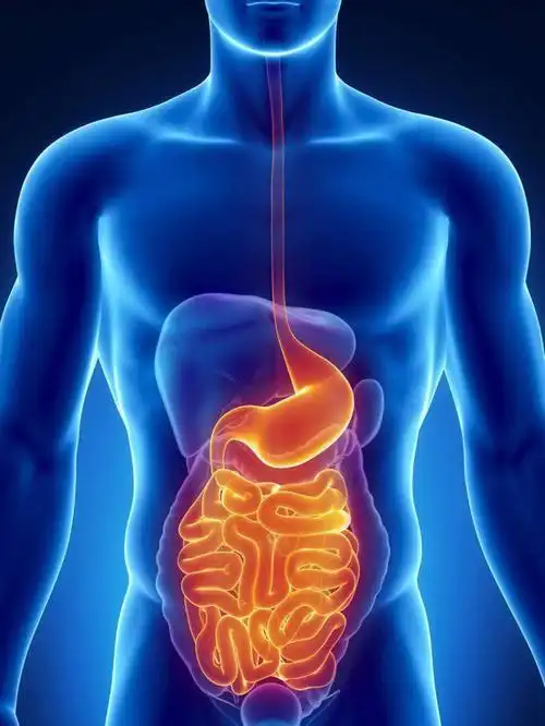 两节过的胃满肠肥,开始动起来,消耗卡路里!