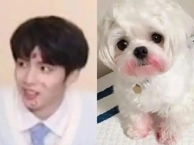 吃着爆米花看着文轩(18楼互)@发呆.