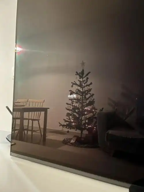 这次还特地参考了@vickysoupsss的方法来烤橙子片和葡萄柚片.