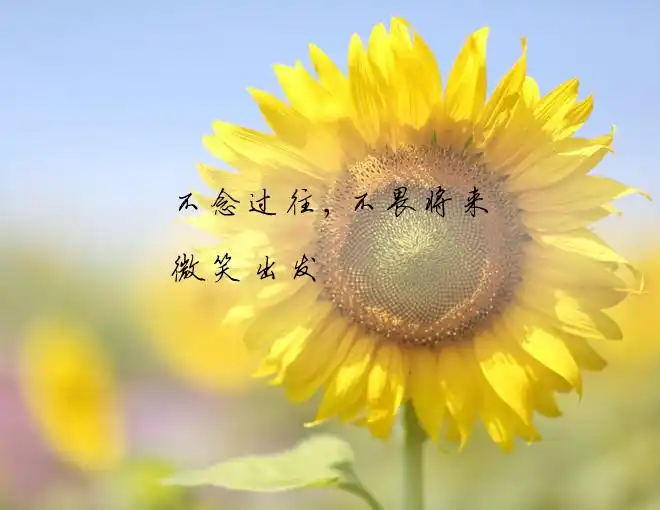 原创希望还在,何惧远方,心若向阳,何惧风雨