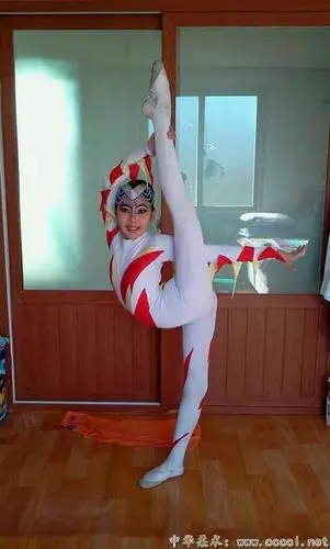 蒙古tt室内柔术展示