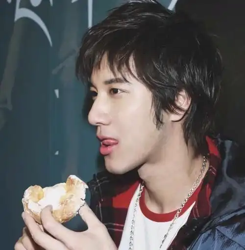 年轻时的王力宏