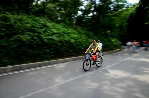 【追随拍摄练习】· 风驰电掣 (共p)