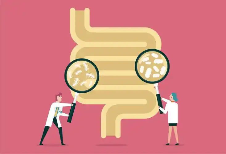 别让有害菌在肠道内争地盘