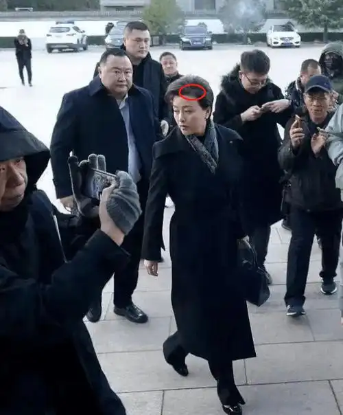 还秃了一块儿,但是一袭黑色风衣的杨澜,近日,移民国外的杨澜近况曝光