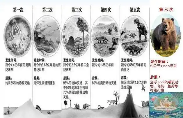 动物即将灭绝,人类该从何做起?