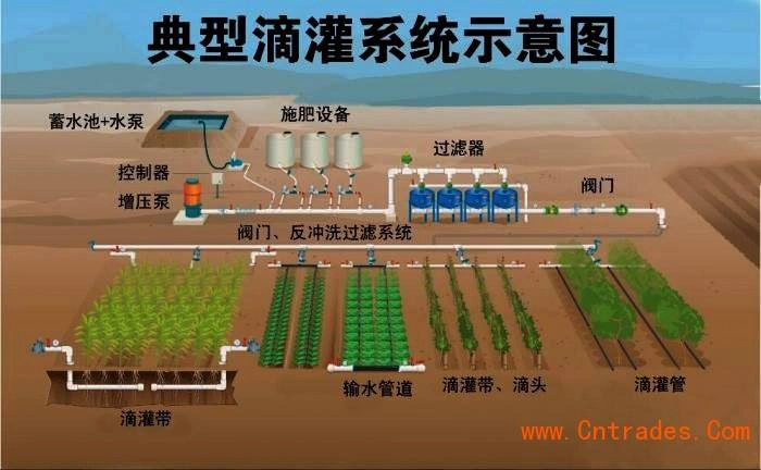 滴灌水肥一体化技术应用广泛,不受地形限制,即使在有一定坡度的坡地上