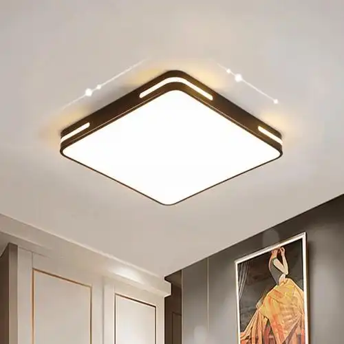 藤印象led吸顶灯北欧客厅灯具吊灯简约现代厨房书房阳台房间卧室灯