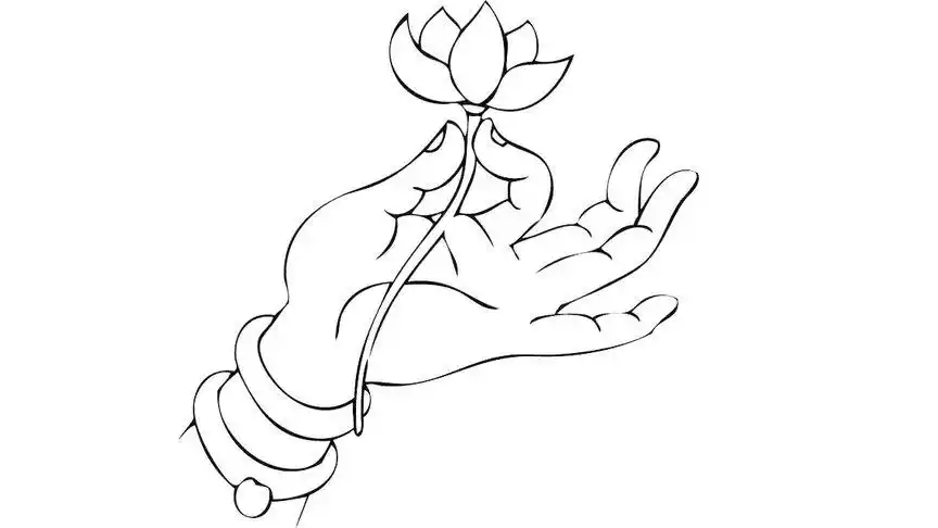 工笔线描《长柄佛手》的绘画过程,喜欢就关注我吧