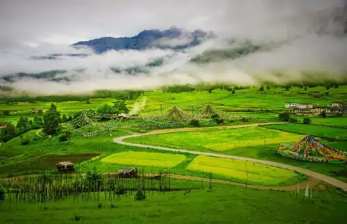鲁朗小镇(一个让人不想家的地方)