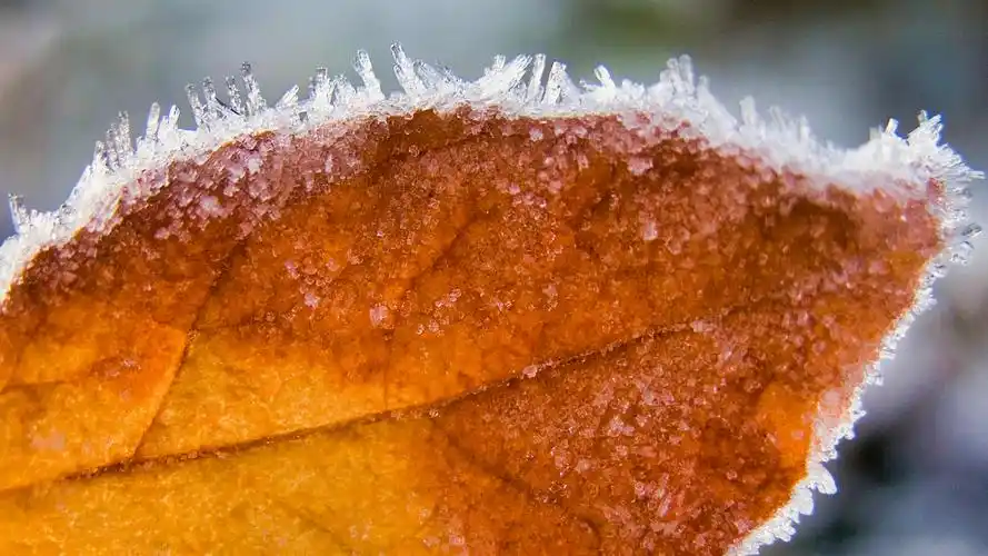 3840x2160的像素分辨率的壁纸,在此分辨率下,可以看清画面中的每一个