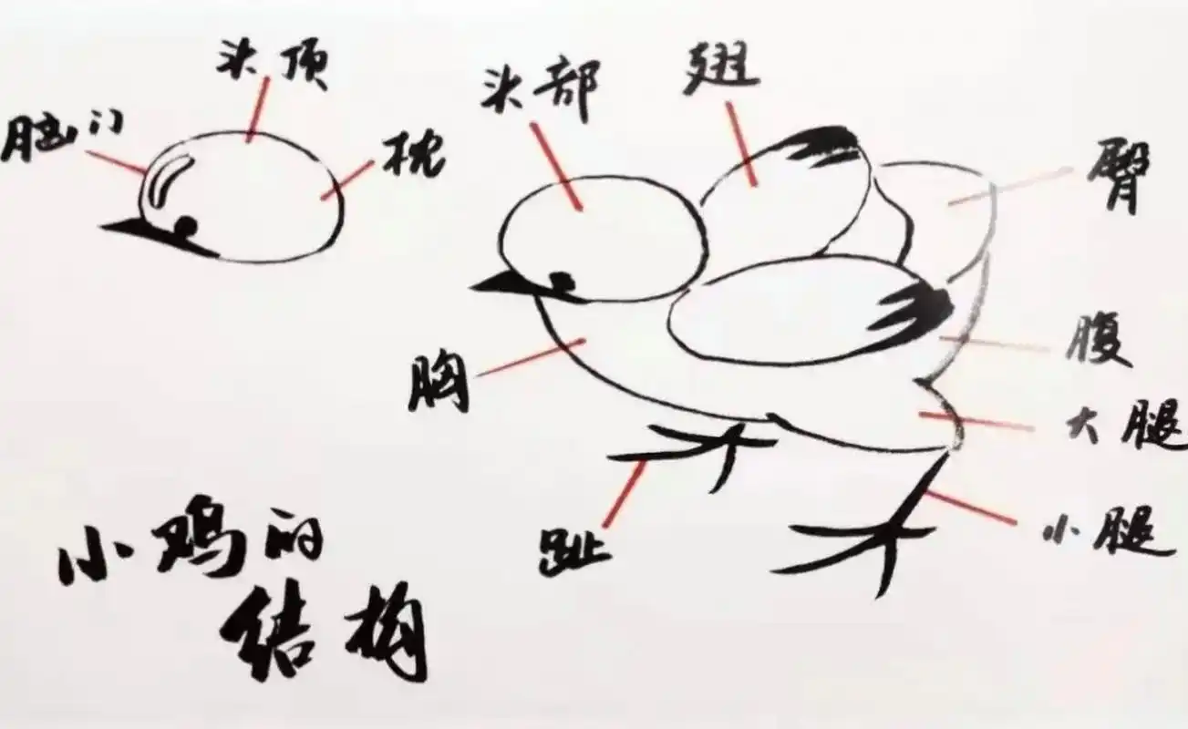 国画小写意之小鸡的画法,拿走不谢[心][鲜花][鲜花][鲜花]