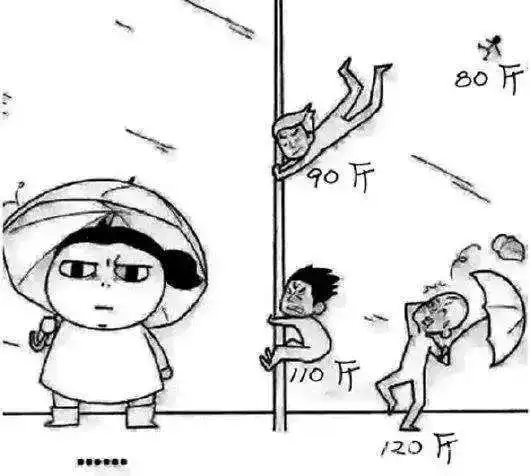 黄色预警|今天,你被大风吹凌乱了吗?