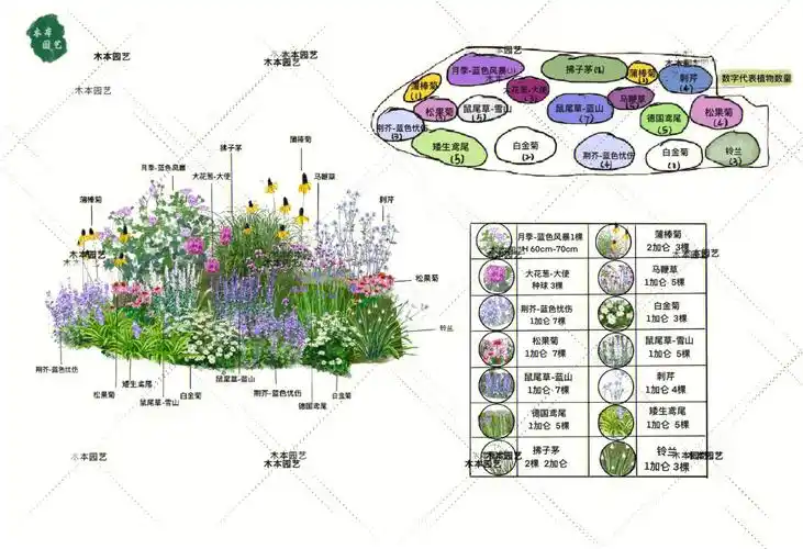 来自洛杉矶的客户花境设计