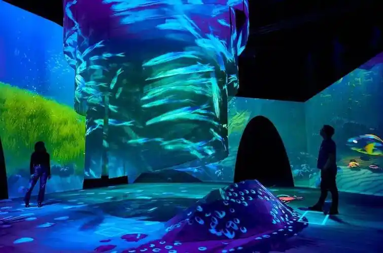 tyama墨尔本博物馆令人叹为观止的沉浸式光影盛宴