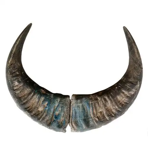 天然黑水牛角原材料diy摆件毛料实心牛角尖原料其他特色工艺品